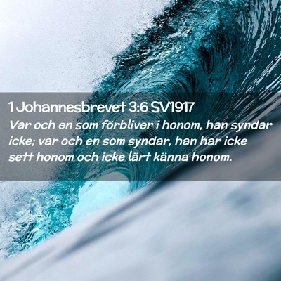 Picture 02 - 1 Johannesbrevet 3:6 SV1917 - Var och en som förbliver i honom, han syndar - Bible Verse Picture
