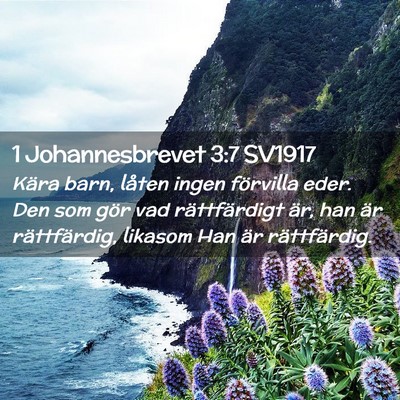 Picture 02 - 1 Johannesbrevet 3:7 SV1917 - Kära barn, låten ingen förvilla eder. Den som - Bible Verse Picture