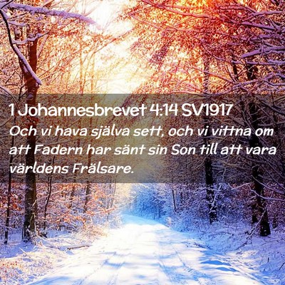 Picture 02 - 1 Johannesbrevet 4:14 SV1917 - Och vi hava själva sett, och vi vittna om att - Bible Verse Picture