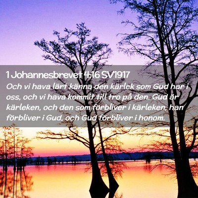 Picture 02 - 1 Johannesbrevet 4:16 SV1917 - Och vi hava lärt känna den kärlek som Gud har - Bible Verse Picture