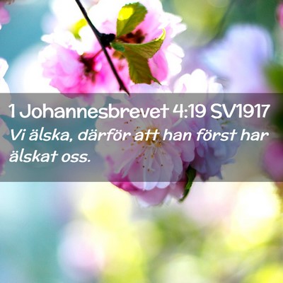 Picture 02 - 1 Johannesbrevet 4:19 SV1917 - Vi älska, därför att han först har älskat - Bible Verse Picture