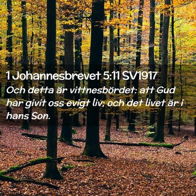 Picture 02 - 1 Johannesbrevet 5:11 SV1917 - Och detta är vittnesbördet: att Gud har givit - Bible Verse Picture