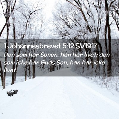 Picture 02 - 1 Johannesbrevet 5:12 SV1917 - Den som har Sonen, han har livet; den som icke - Bible Verse Picture