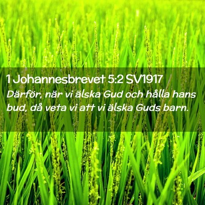 Picture 02 - 1 Johannesbrevet 5:2 SV1917 - Därför, när vi älska Gud och hålla hans bud, - Bible Verse Picture