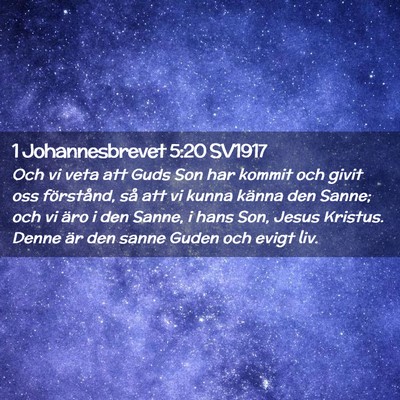 Picture 02 - 1 Johannesbrevet 5:20 SV1917 - Och vi veta att Guds Son har kommit och givit oss - Bible Verse Picture