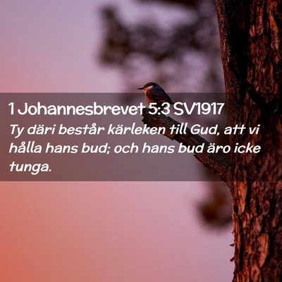 Picture 02 - 1 Johannesbrevet 5:3 SV1917 - Ty däri består kärleken till Gud, att vi - Bible Verse Picture