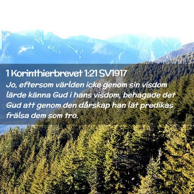 Picture 02 - 1 Korinthierbrevet 1:21 SV1917 - Jo, eftersom världen icke genom sin visdom - Bible Verse Picture