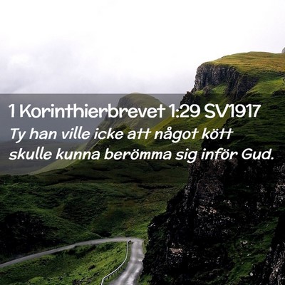 Picture 02 - 1 Korinthierbrevet 1:29 SV1917 - Ty han ville icke att något kött skulle kunna - Bible Verse Picture