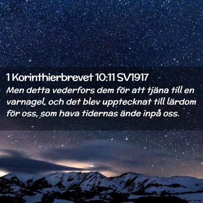 Picture 02 - 1 Korinthierbrevet 10:11 SV1917 - Men detta vederfors dem för att tjäna till en - Bible Verse Picture