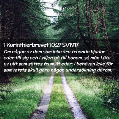 Picture 02 - 1 Korinthierbrevet 10:27 SV1917 - Om någon av dem som icke äro troende bjuder - Bible Verse Picture