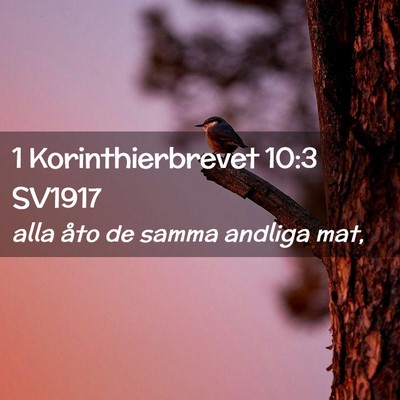 Picture 02 - 1 Korinthierbrevet 10:3 SV1917 - alla åto de samma andliga - Bible Verse Picture