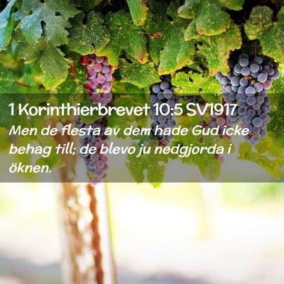 Picture 02 - 1 Korinthierbrevet 10:5 SV1917 - Men de flesta av dem hade Gud icke behag till; de - Bible Verse Picture