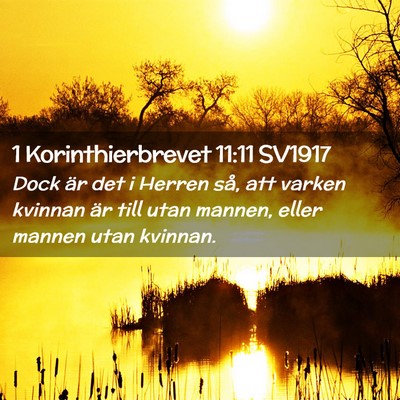 Picture 02 - 1 Korinthierbrevet 11:11 SV1917 - Dock är det i Herren så, att varken kvinnan är - Bible Verse Picture