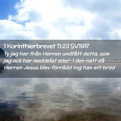 Picture 02 - 1 Korinthierbrevet 11:23 SV1917 - Ty jag har från Herren undfått detta, som jag - Bible Verse Picture