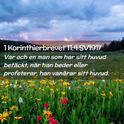 Picture 02 - 1 Korinthierbrevet 11:4 SV1917 - Var och en man som har sitt huvud betäckt, när - Bible Verse Picture
