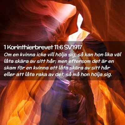 Picture 02 - 1 Korinthierbrevet 11:6 SV1917 - Om en kvinna icke vill hölja sig, så kan hon - Bible Verse Picture