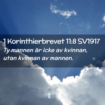 Picture 02 - 1 Korinthierbrevet 11:8 SV1917 - Ty mannen är icke av kvinnan, utan kvinnan av - Bible Verse Picture