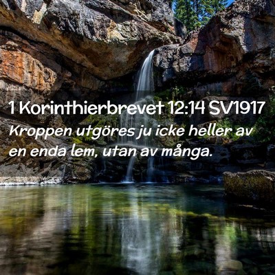 Picture 02 - 1 Korinthierbrevet 12:14 SV1917 - Kroppen utgöres ju icke heller av en enda lem, - Bible Verse Picture