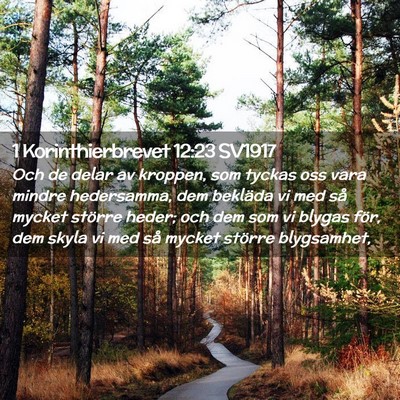 Picture 02 - 1 Korinthierbrevet 12:23 SV1917 - Och de delar av kroppen, som tyckas oss vara - Bible Verse Picture