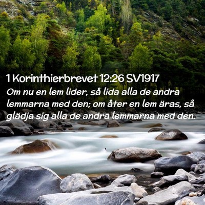 Picture 02 - 1 Korinthierbrevet 12:26 SV1917 - Om nu en lem lider, så lida alla de andra - Bible Verse Picture
