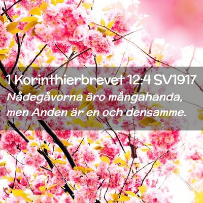 Picture 02 - 1 Korinthierbrevet 12:4 SV1917 - Nådegåvorna äro mångahanda, men Anden är en - Bible Verse Picture