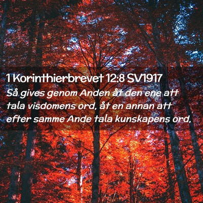 Picture 02 - 1 Korinthierbrevet 12:8 SV1917 - Så gives genom Anden åt den ene att tala - Bible Verse Picture