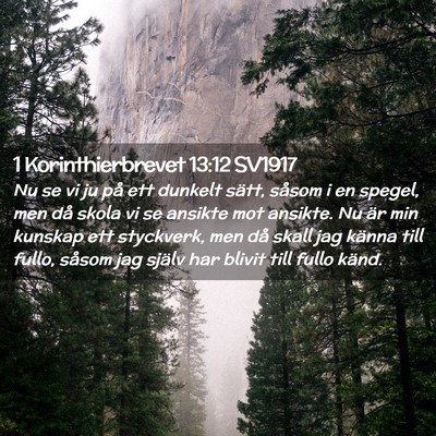Picture 02 - 1 Korinthierbrevet 13:12 SV1917 - Nu se vi ju på ett dunkelt sätt, såsom i en - Bible Verse Picture