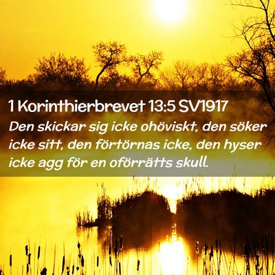 Picture 02 - 1 Korinthierbrevet 13:5 SV1917 - Den skickar sig icke ohöviskt, den söker icke - Bible Verse Picture