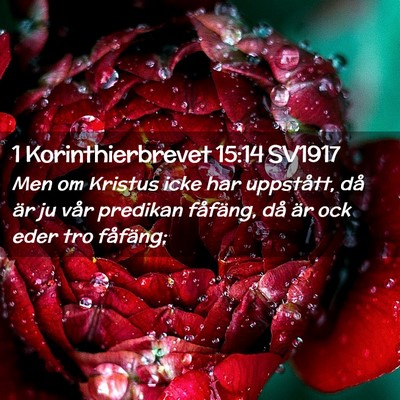 Picture 02 - 1 Korinthierbrevet 15:14 SV1917 - Men om Kristus icke har uppstått, då är ju - Bible Verse Picture