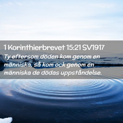 Picture 02 - 1 Korinthierbrevet 15:21 SV1917 - Ty eftersom döden kom genom en människa, så - Bible Verse Picture