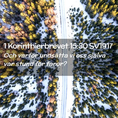 Picture 02 - 1 Korinthierbrevet 15:30 SV1917 - Och varför undsätta vi oss själva var stund - Bible Verse Picture