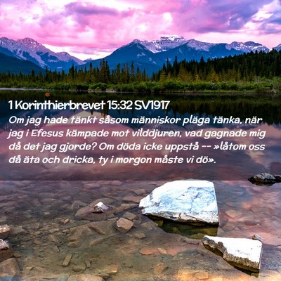 Picture 02 - 1 Korinthierbrevet 15:32 SV1917 - Om jag hade tänkt såsom människor pläga - Bible Verse Picture