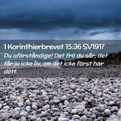 Picture 02 - 1 Korinthierbrevet 15:36 SV1917 - Du oförståndige! Det frö du sår, det får ju - Bible Verse Picture