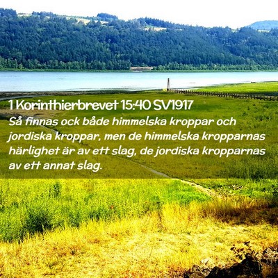Picture 02 - 1 Korinthierbrevet 15:40 SV1917 - Så finnas ock både himmelska kroppar och - Bible Verse Picture