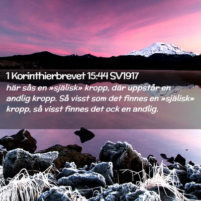 Picture 02 - 1 Korinthierbrevet 15:44 SV1917 - här sås en »själisk» kropp, där uppstår en - Bible Verse Picture