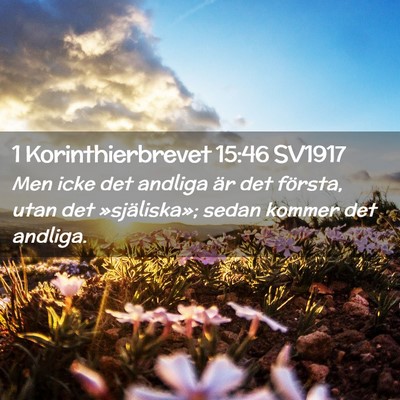 Picture 02 - 1 Korinthierbrevet 15:46 SV1917 - Men icke det andliga är det första, utan det - Bible Verse Picture