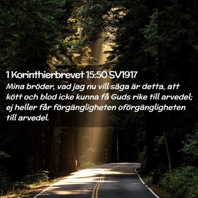 Picture 02 - 1 Korinthierbrevet 15:50 SV1917 - Mina bröder, vad jag nu vill säga är detta, - Bible Verse Picture