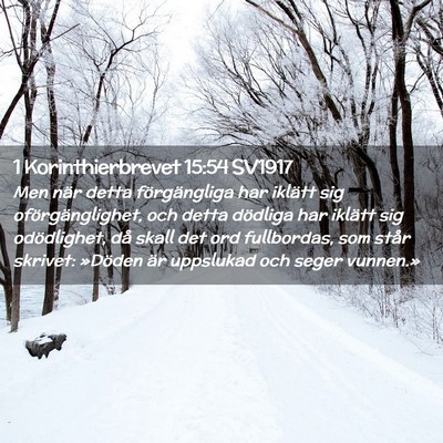 Picture 02 - 1 Korinthierbrevet 15:54 SV1917 - Men när detta förgängliga har iklätt sig - Bible Verse Picture
