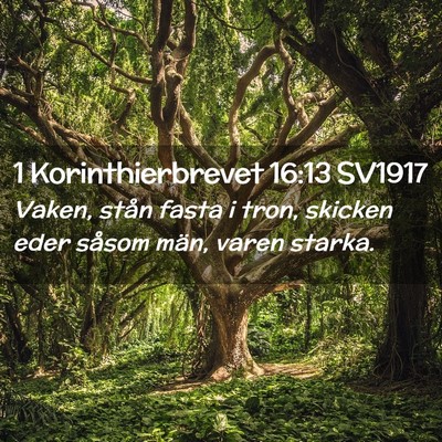 Picture 02 - 1 Korinthierbrevet 16:13 SV1917 - Vaken, stån fasta i tron, skicken eder såsom - Bible Verse Picture