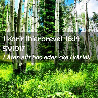 Picture 02 - 1 Korinthierbrevet 16:14 SV1917 - Låten allt hos eder ske i - Bible Verse Picture