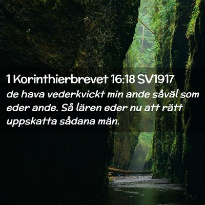 Picture 02 - 1 Korinthierbrevet 16:18 SV1917 - de hava vederkvickt min ande såväl som eder - Bible Verse Picture
