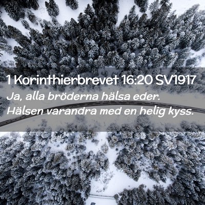 Picture 02 - 1 Korinthierbrevet 16:20 SV1917 - Ja, alla bröderna hälsa eder. Hälsen varandra - Bible Verse Picture