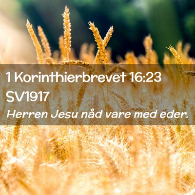 Picture 02 - 1 Korinthierbrevet 16:23 SV1917 - Herren Jesu nåd vare med - Bible Verse Picture