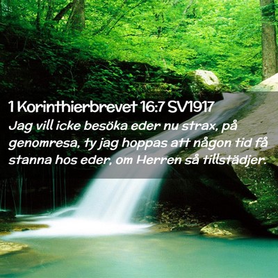 Picture 02 - 1 Korinthierbrevet 16:7 SV1917 - Jag vill icke besöka eder nu strax, på - Bible Verse Picture