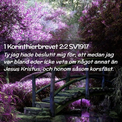 Picture 02 - 1 Korinthierbrevet 2:2 SV1917 - Ty jag hade beslutit mig för, att medan jag var - Bible Verse Picture