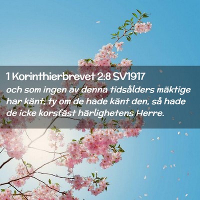 Picture 02 - 1 Korinthierbrevet 2:8 SV1917 - och som ingen av denna tidsålders mäktige har - Bible Verse Picture