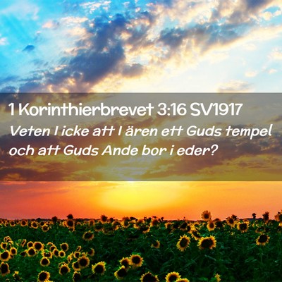 Picture 02 - 1 Korinthierbrevet 3:16 SV1917 - Veten I icke att I ären ett Guds tempel och att - Bible Verse Picture