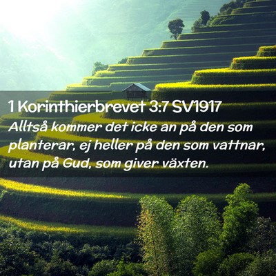 Picture 02 - 1 Korinthierbrevet 3:7 SV1917 - Alltså kommer det icke an på den som planterar, - Bible Verse Picture