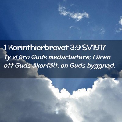 Picture 02 - 1 Korinthierbrevet 3:9 SV1917 - Ty vi äro Guds medarbetare; I ären ett Guds - Bible Verse Picture