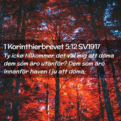 Picture 02 - 1 Korinthierbrevet 5:12 SV1917 - Ty icke tillkommer det väl mig att döma dem som - Bible Verse Picture
